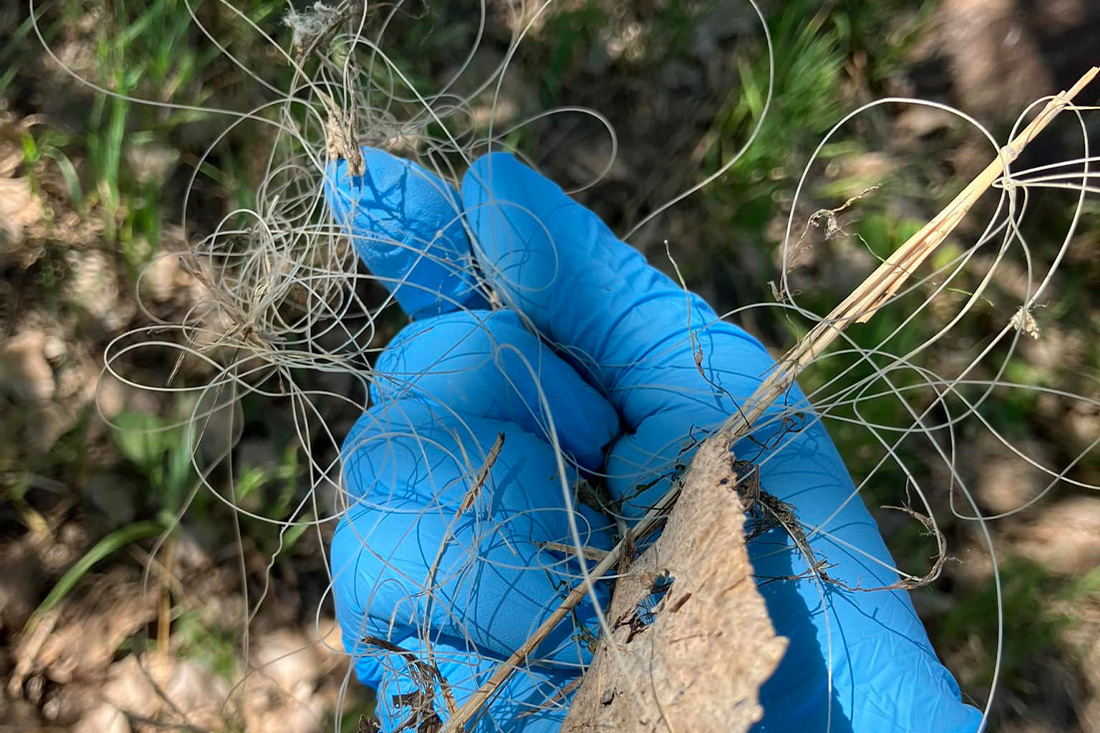 Hand holding discarded fishing line that was left behind