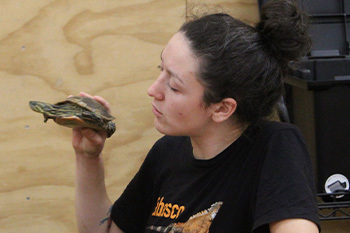A women holding a painted turtle 