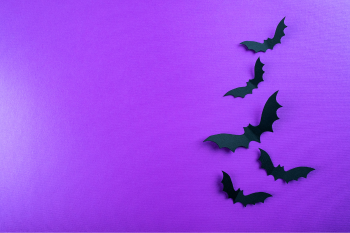 Five black paper bats are arranged diagonally on a bright purple background. The image conveys a spooky, Halloween-themed atmosphere.