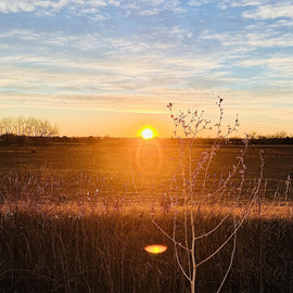 Sunrise on Daughenbaugh Open Space 