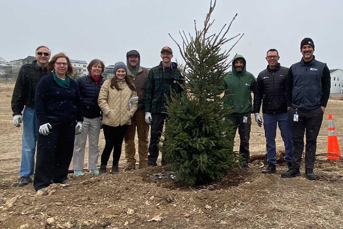 Volunteers planting a tree for Arbor Day