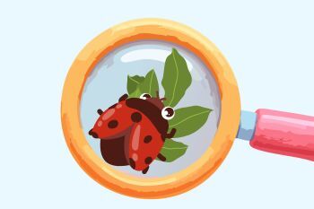Drawing of A Beetle Under a Magnifying Glass