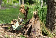 Homemade fairy house created for the Fairy House Walk