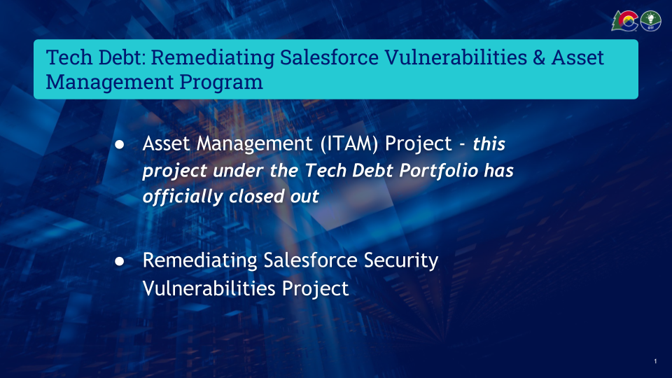 Navy blue and white font - list of IT Asset Management and Salesforce Security Vulnerabilities Remediation Projects - Tech Debt