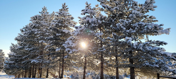 Colorado sunrise and snow