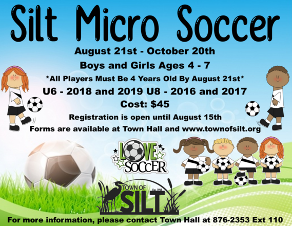 youth micro soccer