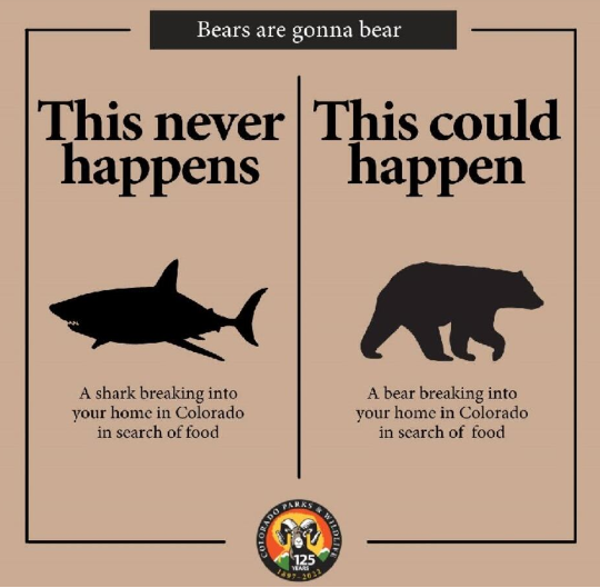 bears