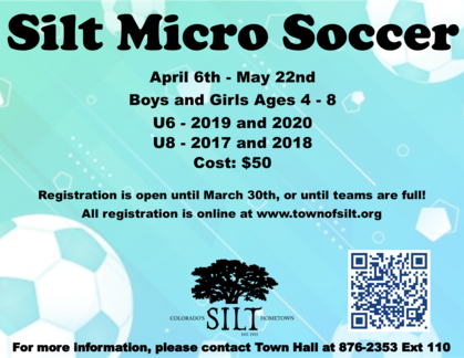 2026 Micro Soccer