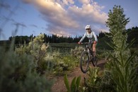 Man and Woman Mountain Biking