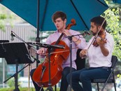 orchestra concert