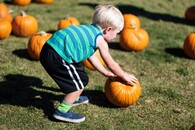 pumpkin fest