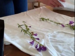 botanical dyeing workshop