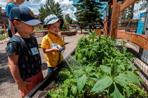 two boys watering plants in community garden