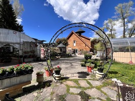 flowers on display at alpine gardens