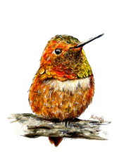 bird drawing and painting by Olesia Lawrence