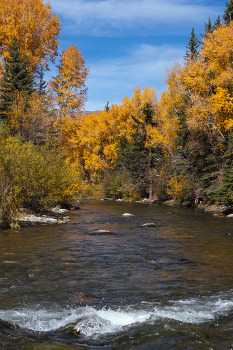 trees with fall colors along the blue river