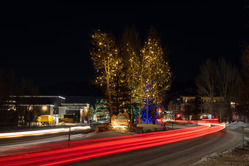 holiday lights and traffic