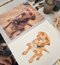 pet portraits