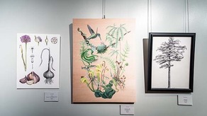 botanical art exhibit