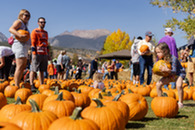 family picking out pumpkins at pumpkin fest