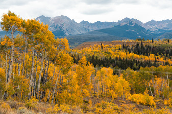 fall colors in the gore range mountains