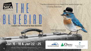The Bluebird