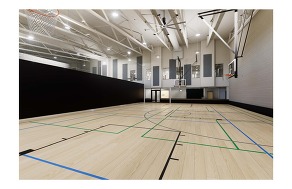 Multi-activity court gymnasium rendering