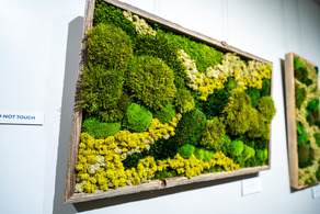 eleanor hawkins moss art