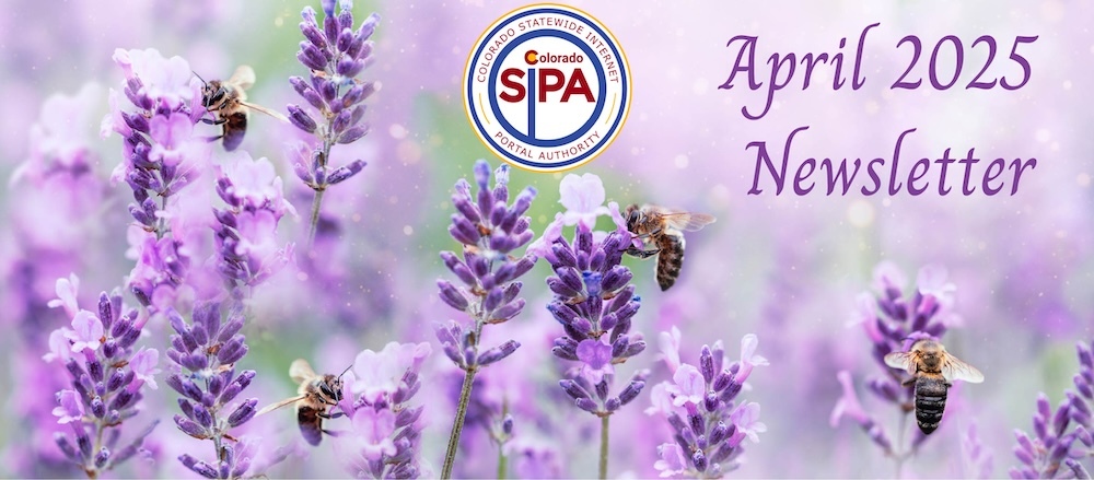 April 2025 SIPA Newsletter header bees on lavendar flowers