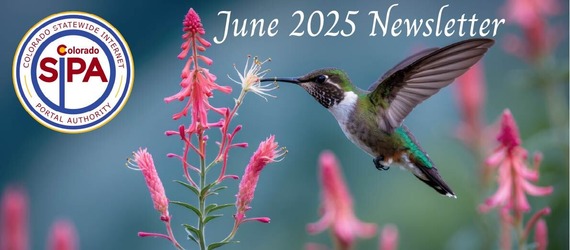 June 2025 SIPA Newsletter header. Hummingbird feeding from a pink flower