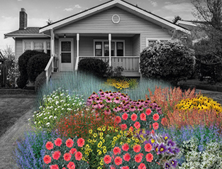 Garden in a box image