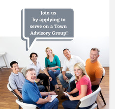 Advisory Groups