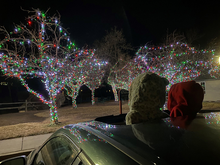 Selfie Contest Winner