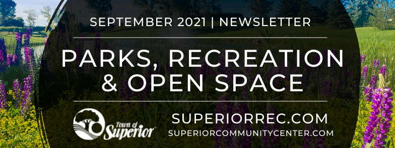 pros banner sept 2021