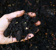 Compost Workshop