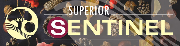 November Sentinel banner