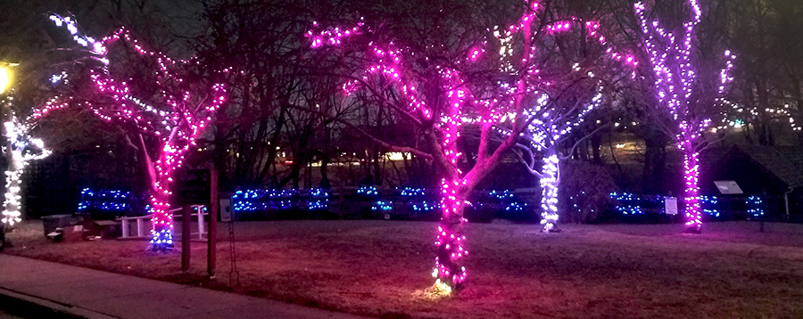 Winter holiday lights