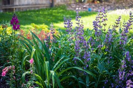 resource Central garden