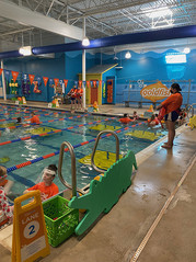 Goldfish Swim School