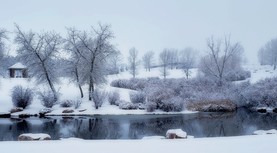 Purple Park Pavilion