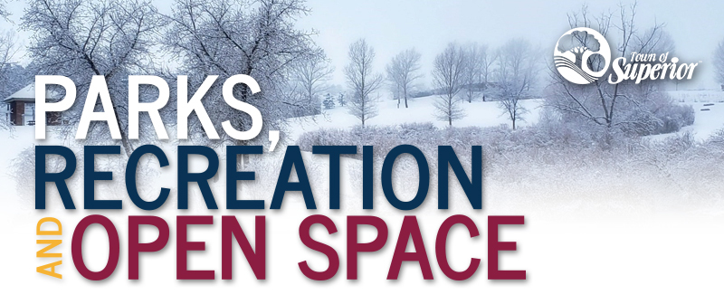 Parks, Recreation and Open Space Winter Template