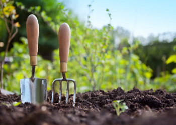 Garden tools in the soil
