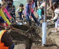 Superior youth planting a tree for Arbor Day