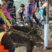 Superior youth planting a tree at the Arbor Day celebration
