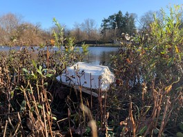 Trash stuck in grass next to a pond