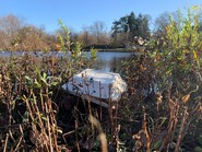 Trash stuck in grass next to a pond