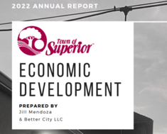 2022 annual report introduction header