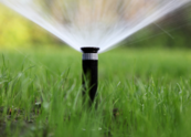 smart irrigation - a sprinkler watering grass