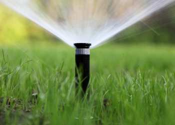 smart irrigation - a sprinkler watering grass