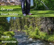 homeowner watering a lawn next to an image of a stream in the forest